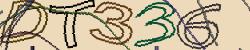 Retype the CAPTCHA code from the image