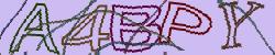 Retype the CAPTCHA code from the image