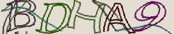 Retype the CAPTCHA code from the image